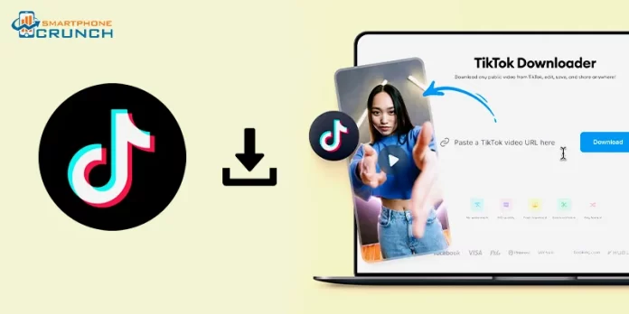 TikTok Downloader save TikTok videos and Stories from your browser (Webp)